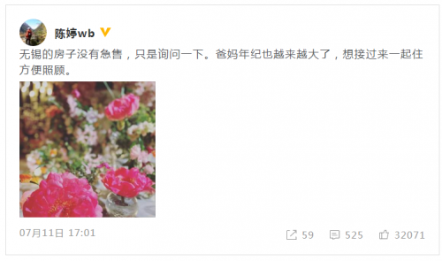 陈婷回应张艺谋售卖无锡别墅：没有急售，只是询问一下